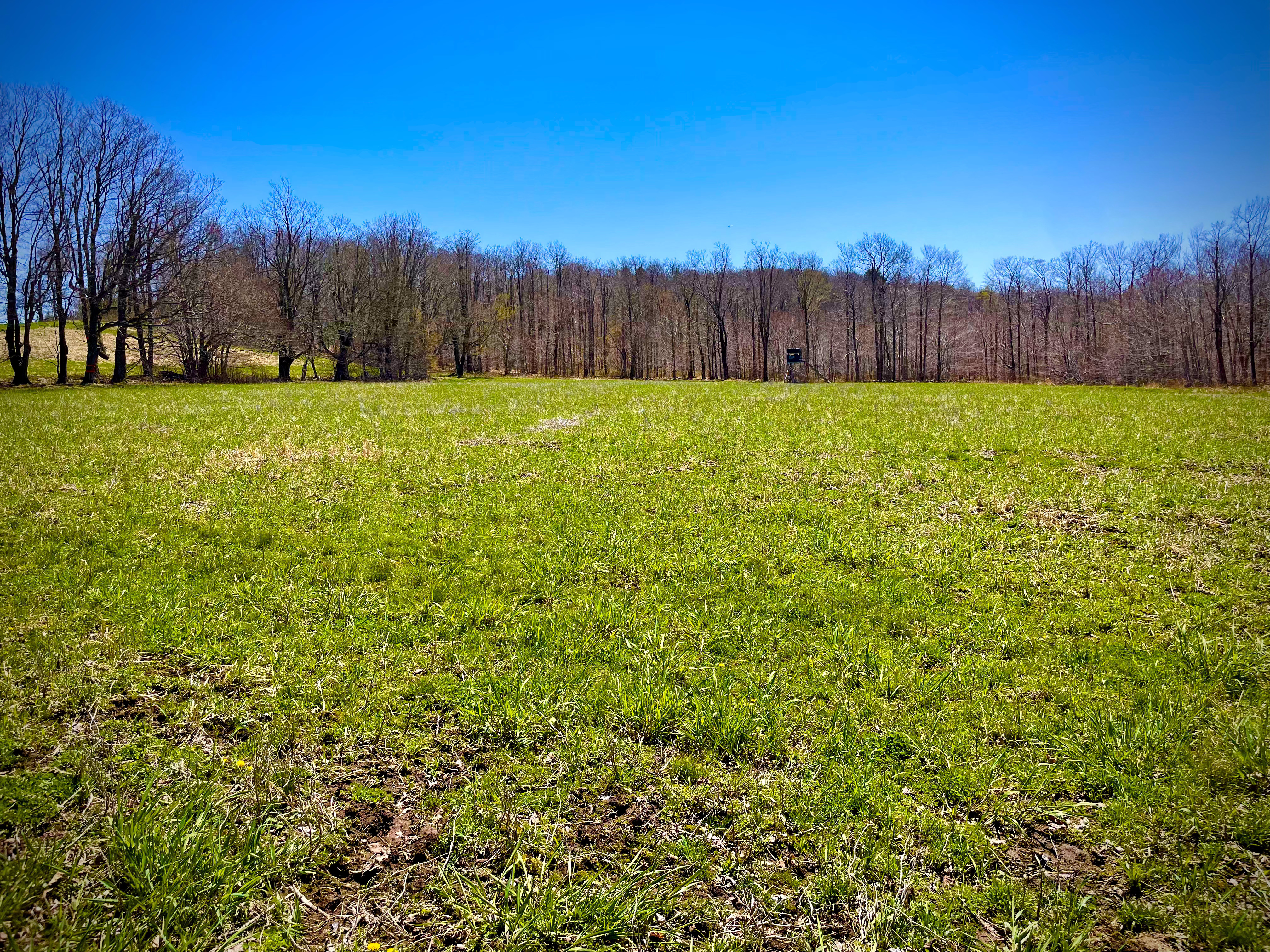 Food Plots